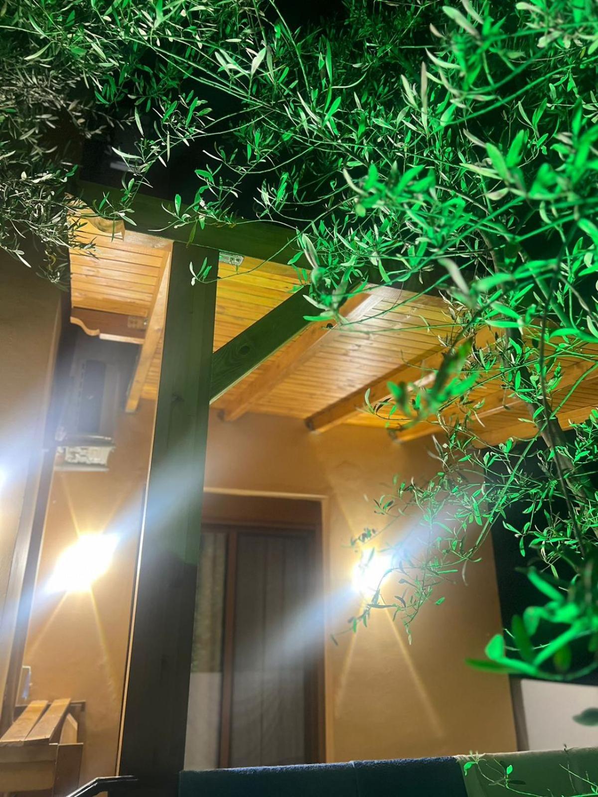 Vila Magis Vlore Ngoại thất bức ảnh