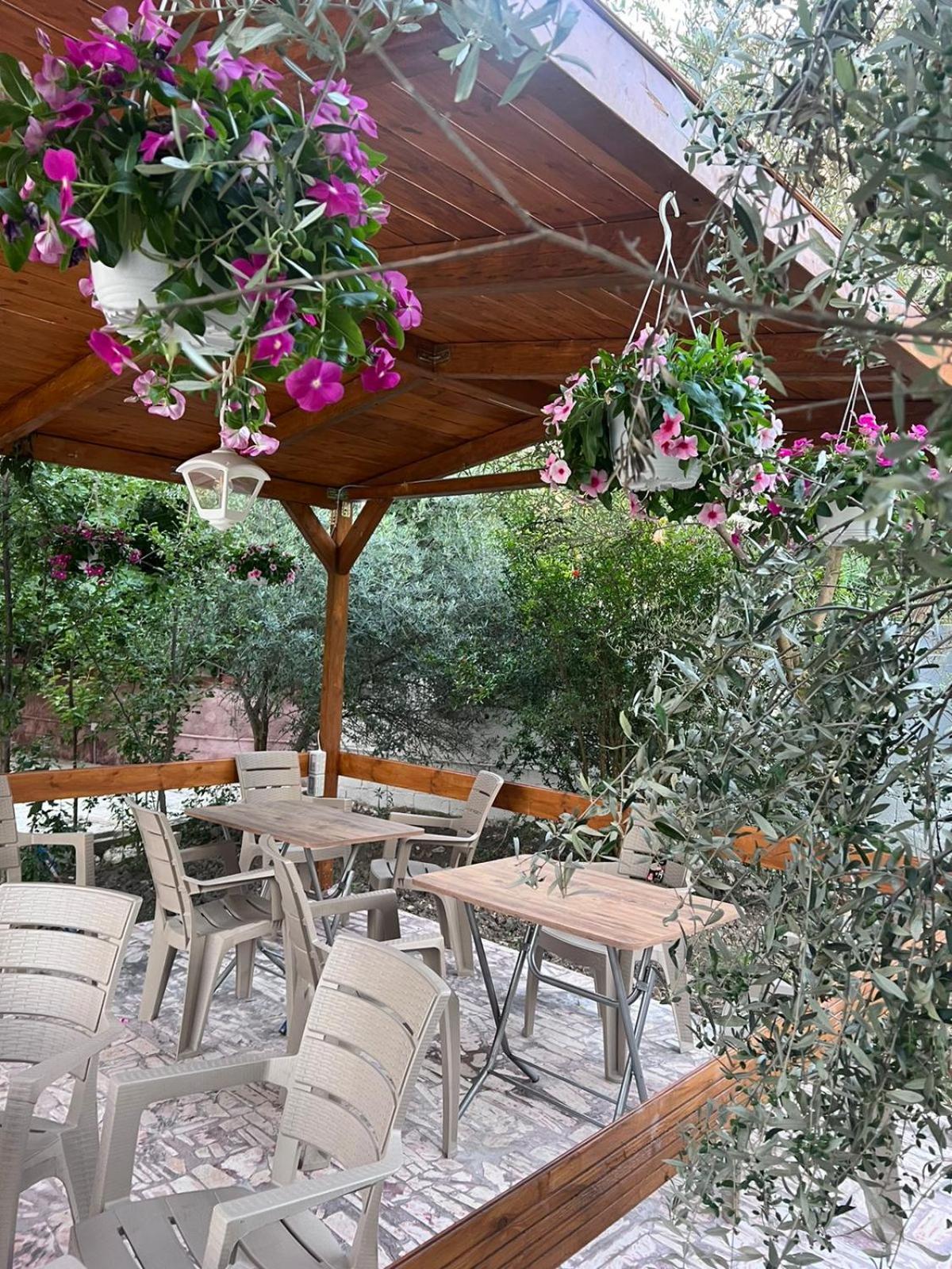 Vila Magis Vlore Ngoại thất bức ảnh