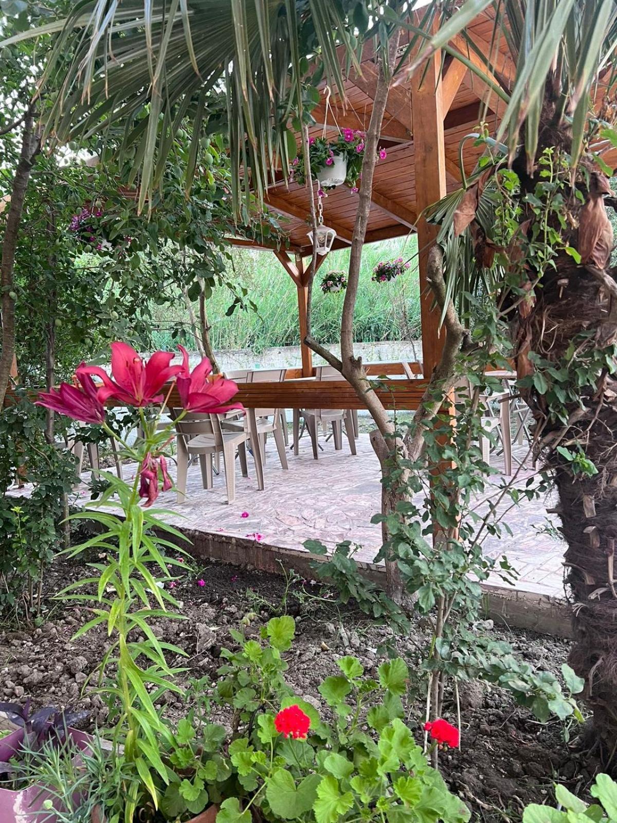 Vila Magis Vlore Ngoại thất bức ảnh